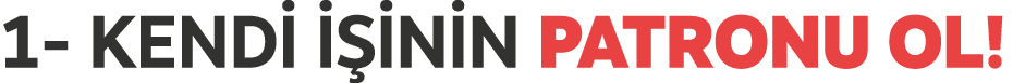 1 KEND    N N PATRONU OL!